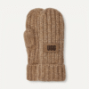 Chunky Mitten Chunky Mitten